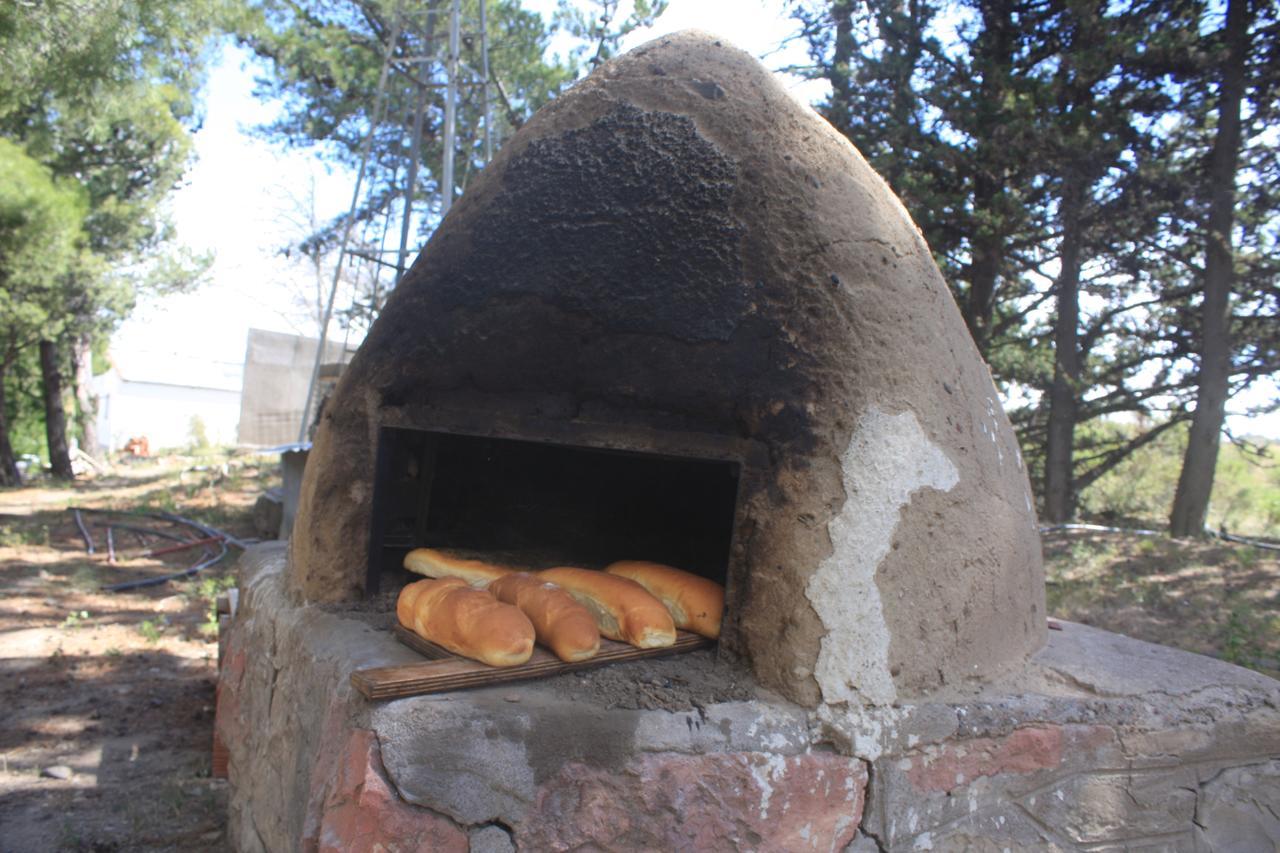 La Antonieta Estancia De Mar Dos Pozos Exteriör bild