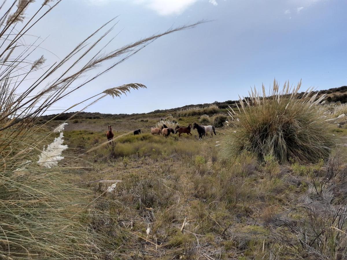 La Antonieta Estancia De Mar Dos Pozos Exteriör bild